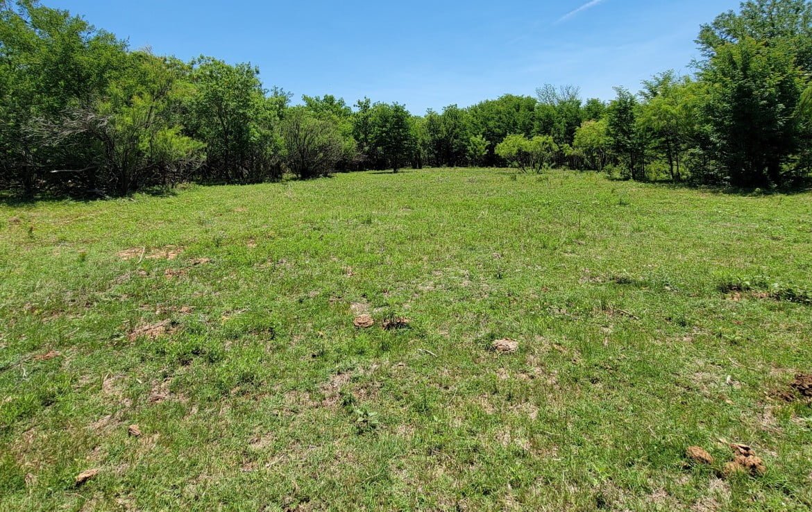 133 acres in Wilbarger County