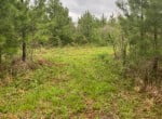 75 acres in Red River County