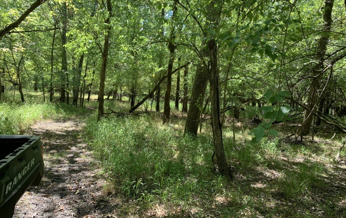 50 acres in Red River County