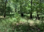 50 acres in Red River County