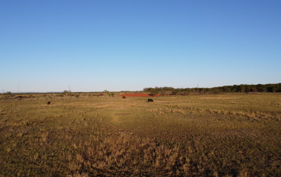 50 acres in Taylor County