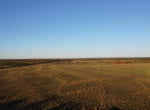 50 acres in Taylor County