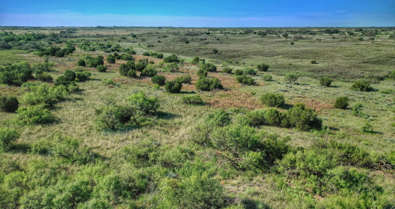 400 acres in Cottle County