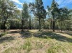 65 acres in Red River County
