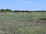 54 acres in Eastland County