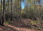 11 acres in Red River County