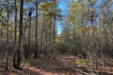 6 acres in Red River County