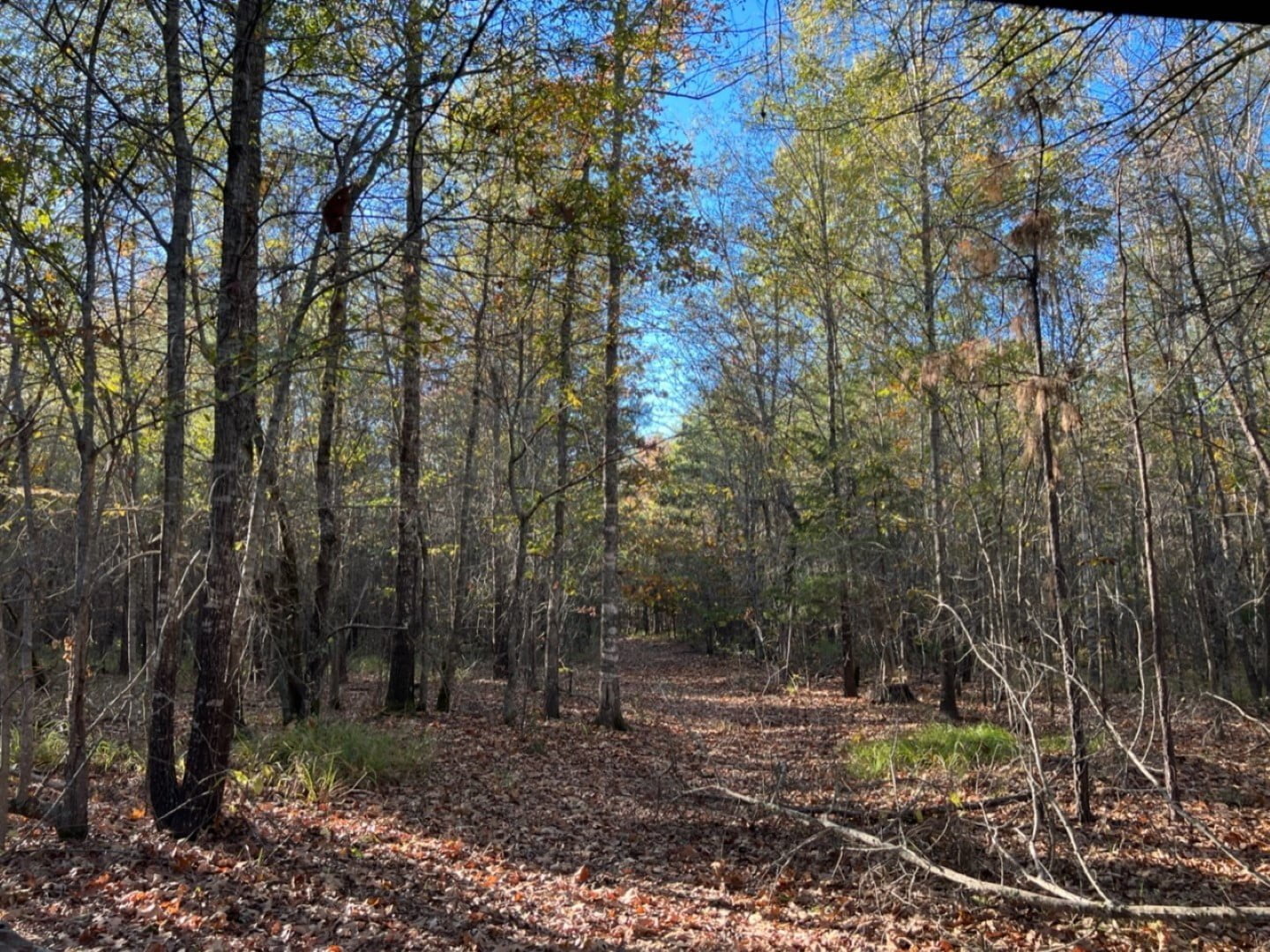 6 acres in Red River County Texas for Sale