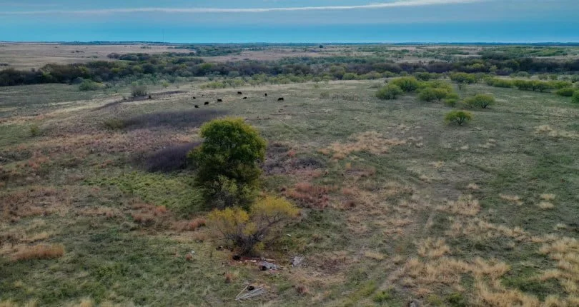 Managing a Ranch in Texas