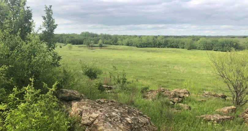 Here are some questions you might want to consider when buying a ranch in Texas