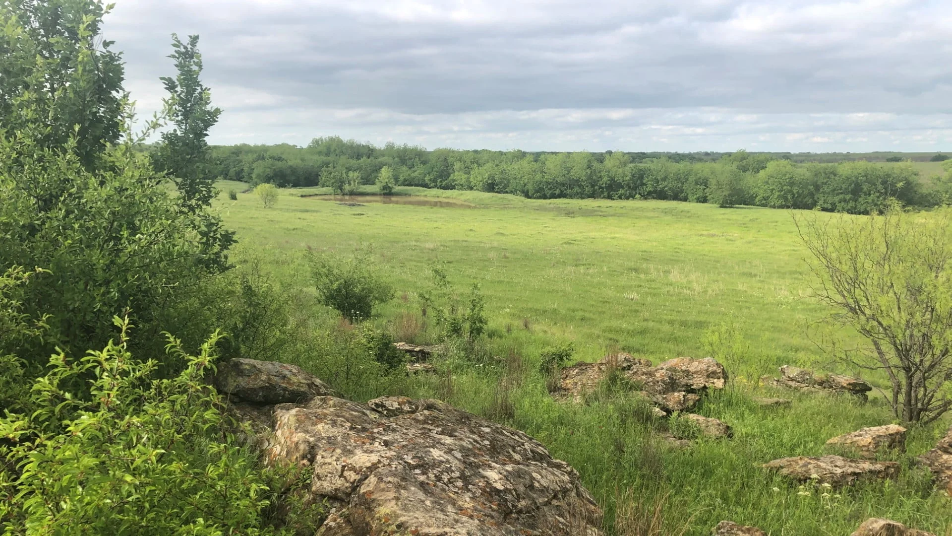 87 acres in Clay County - Texas Hunting Land LLC 87 acres in Clay County