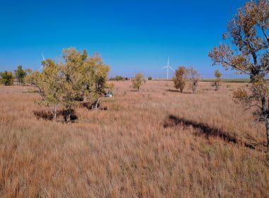 97 acres in Wilbarger County