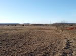 25 acres in Taylor County