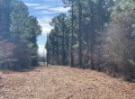43 acres in Red River County
