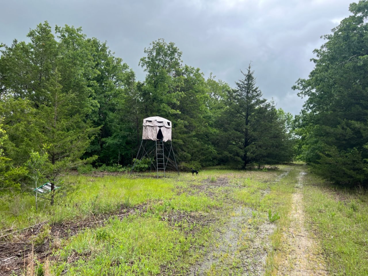 Lamar County Texas Land and Ranches for Sale