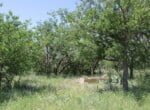2 acres in Taylor County