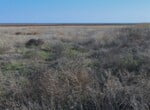 270 acres in Wilbarger County