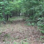 51 acres in Red River County