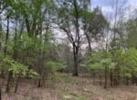 18 acres in Bowie County