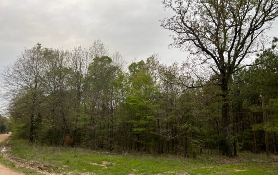 18 acres in Bowie County
