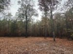 5 acres in Red River County