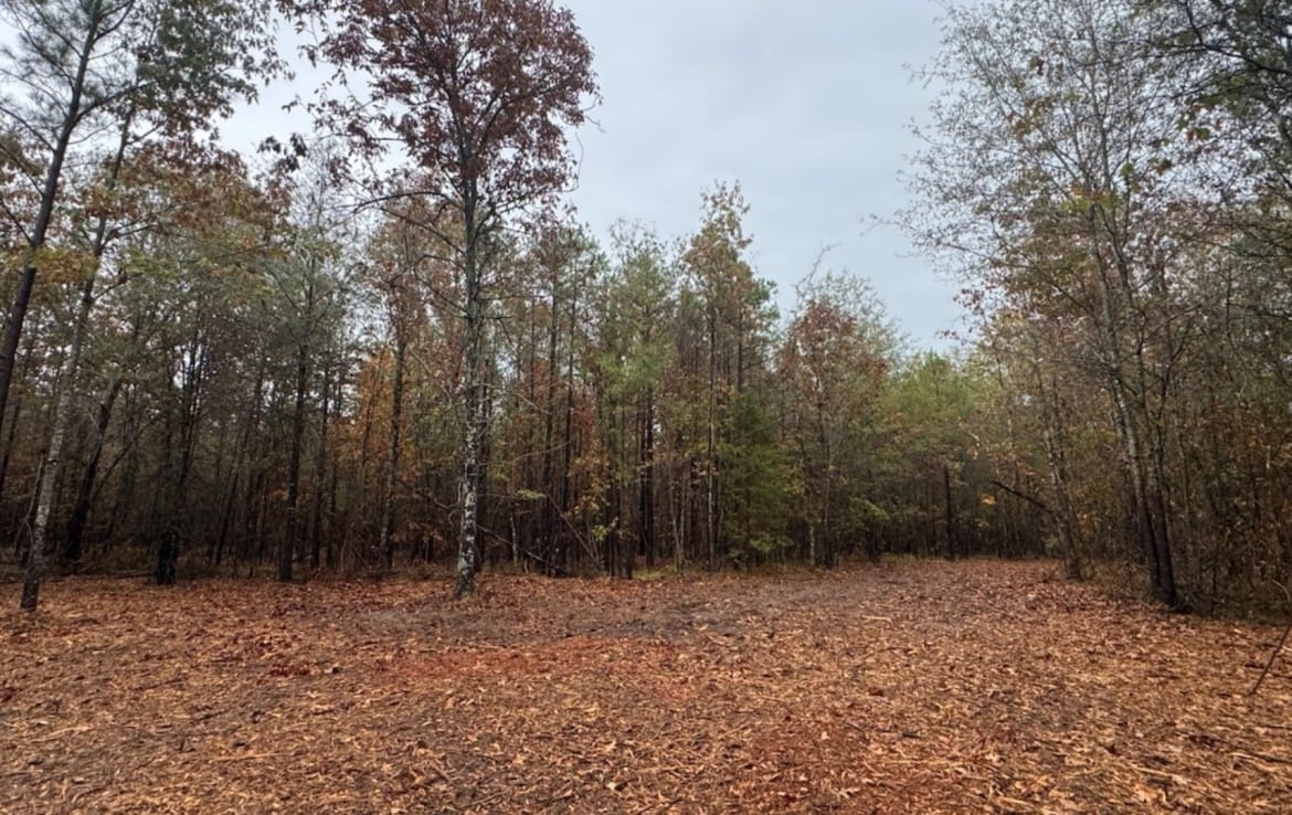 5 acres in Red River County