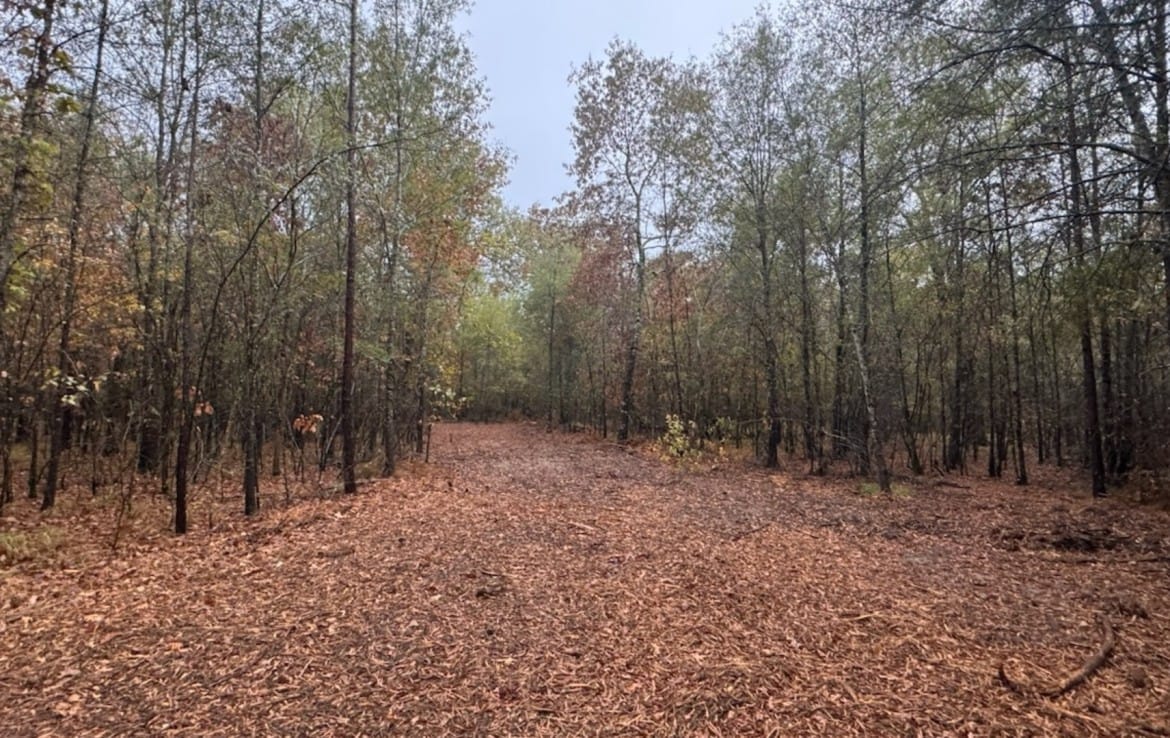 5 acres in Red River County