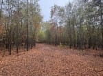 5 acres in Red River County