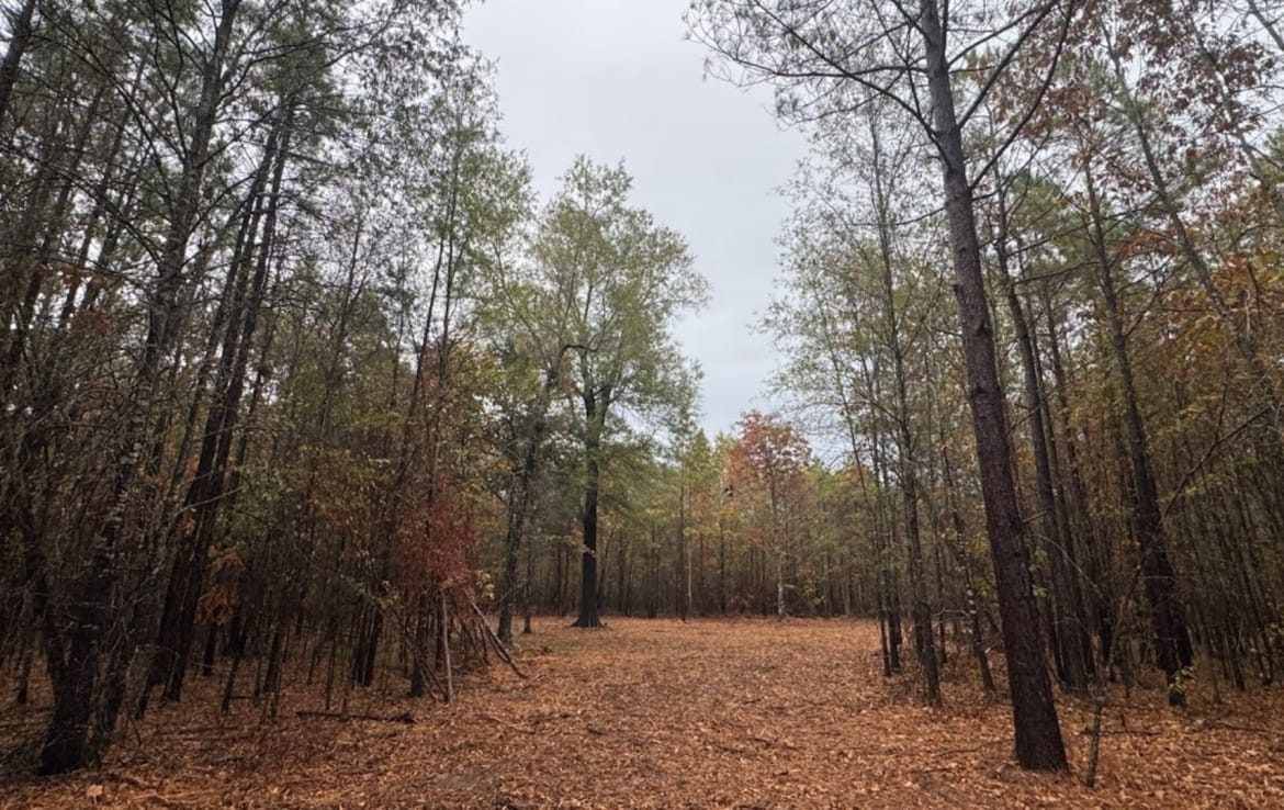 5 acres in Red River County