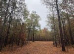 5 acres in Red River County