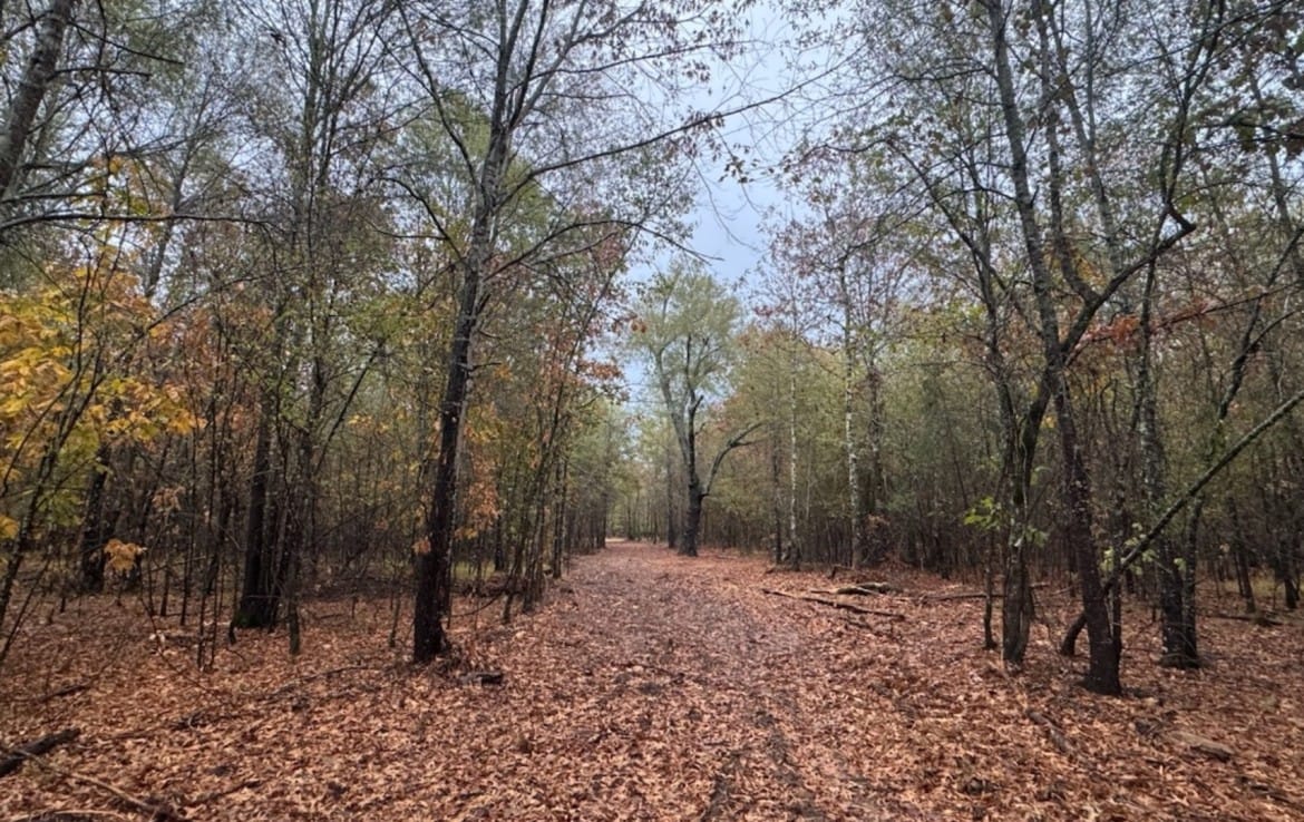 5 acres in Red River County