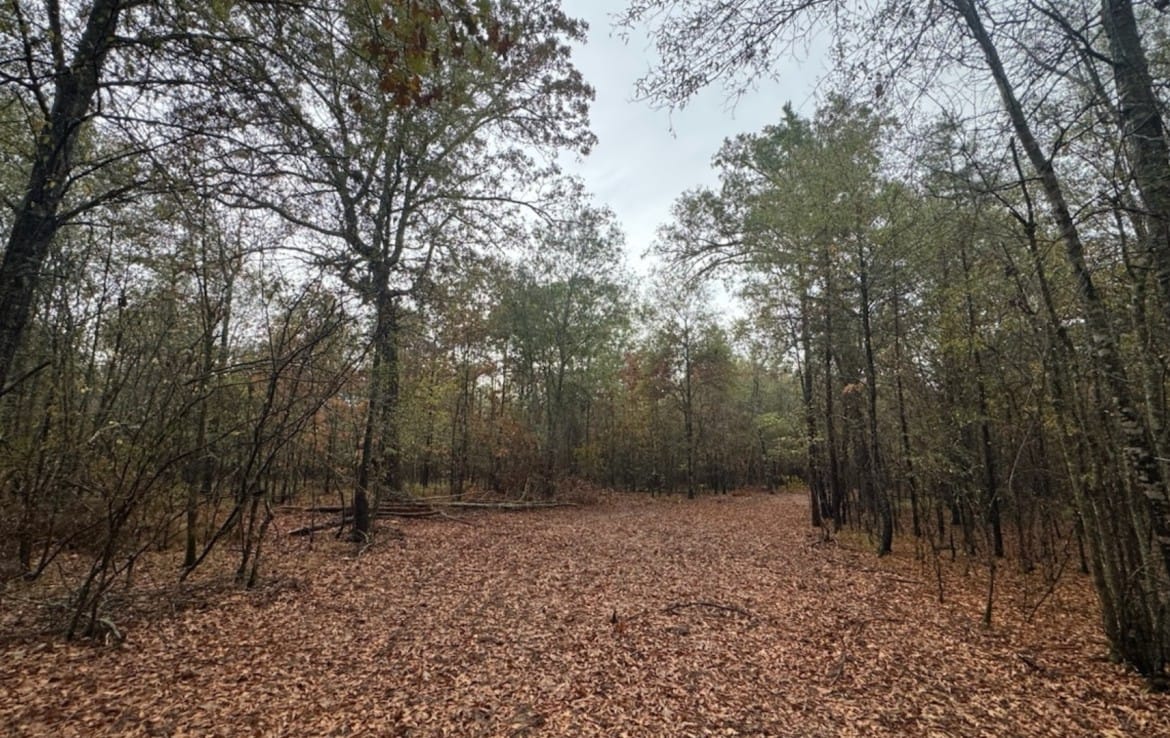 5 acres in Red River County