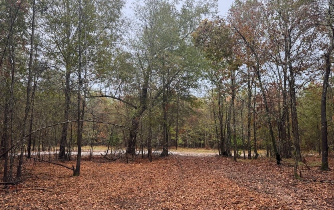 5 acres in Red River County