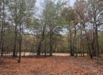 5 acres in Red River County