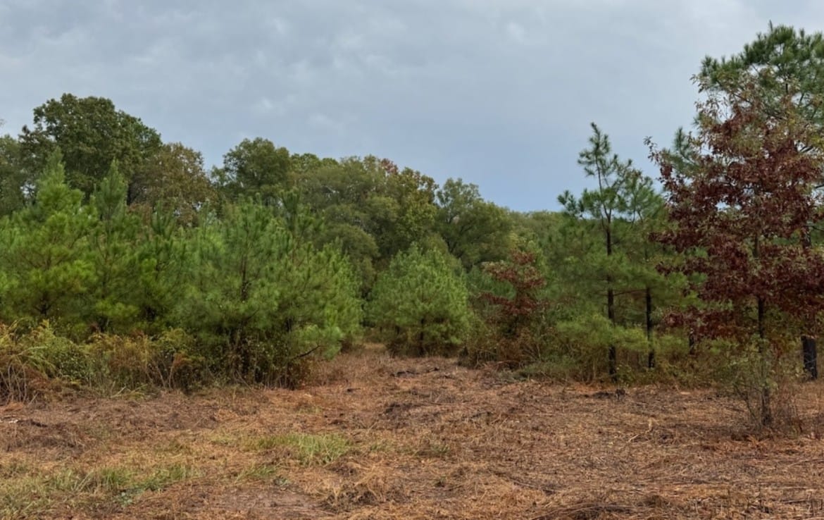 5 acres in Red River County