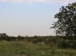 240 acres in Fisher County
