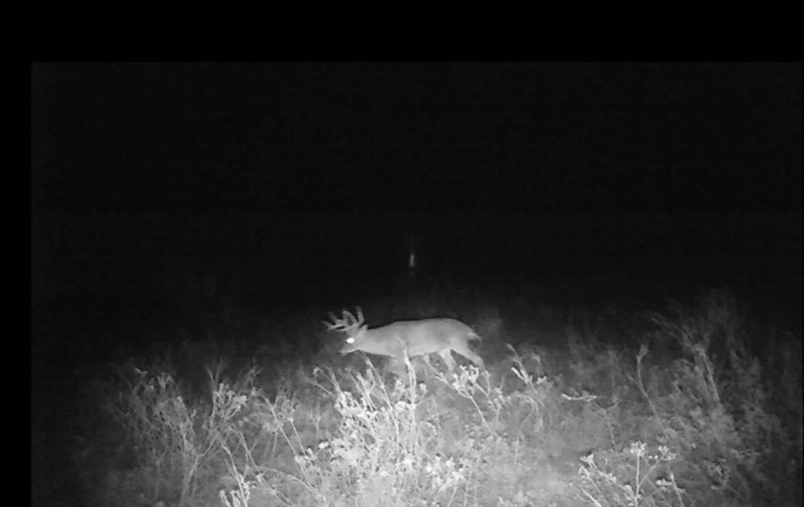 240 acres in Fisher County