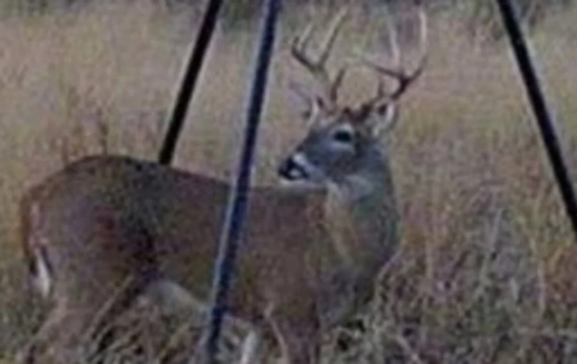 240 acres in Fisher County