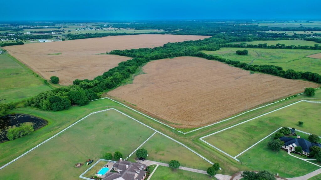 Ellis County Texas Land for Sale Texas Hunting Land LLC