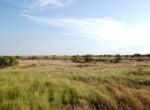 150 acres in Fisher County