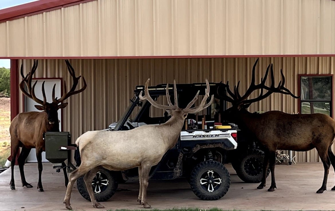 1,765 acres in Hardeman County