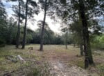 48 acres in Red River County