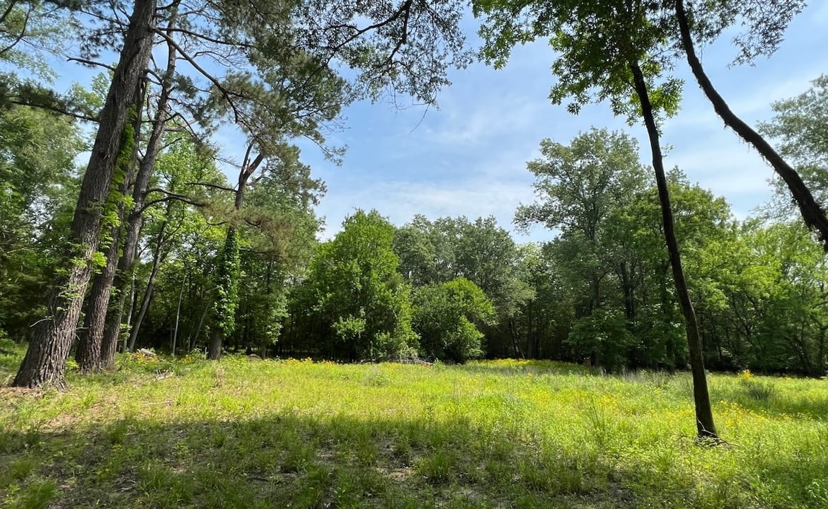 48 acres in Red River County