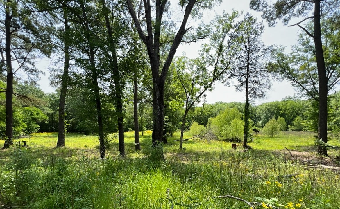 48 acres in Red River County