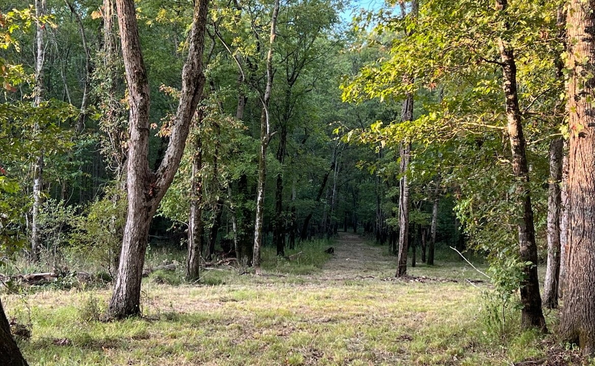 48 acres in Red River County