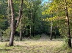 48 acres in Red River County
