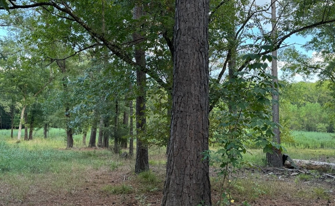 48 acres in Red River County