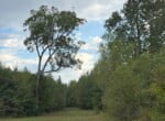 38 acres in Red River County