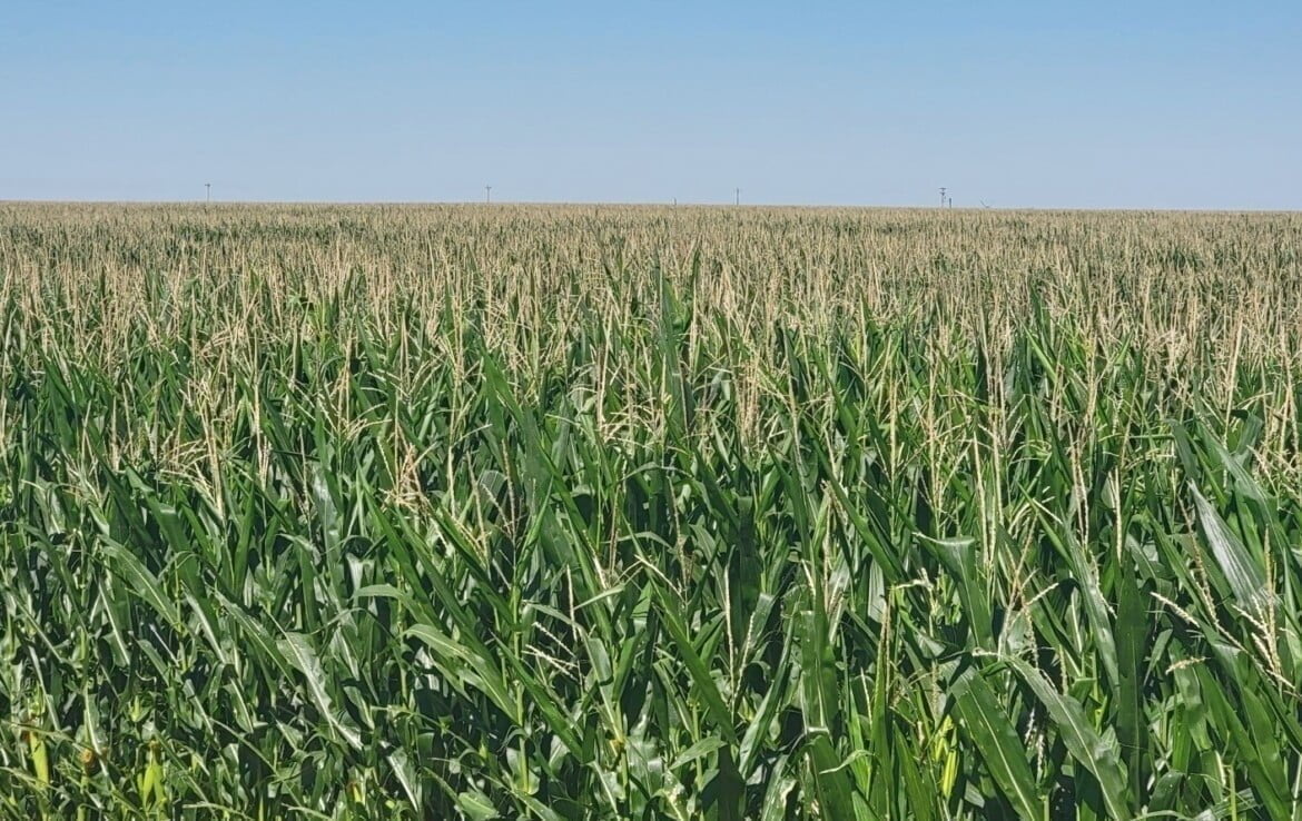 640 acres in Baca County Colorado