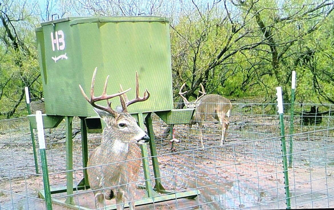 335 acres in Hardeman County